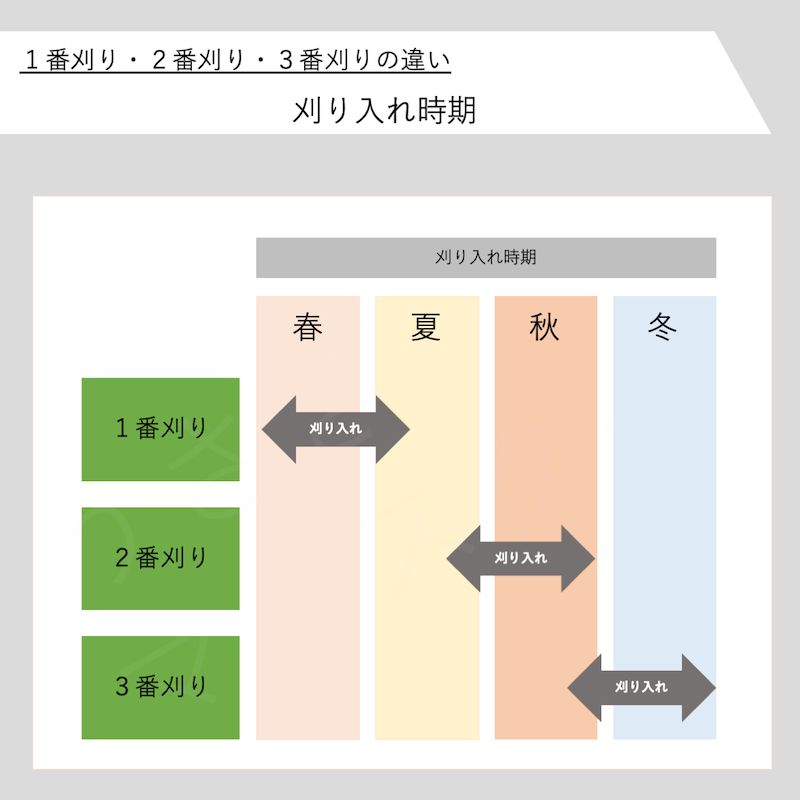 チモシー１番刈り、２番刈り、３番刈りの違い - うさぎマイスター